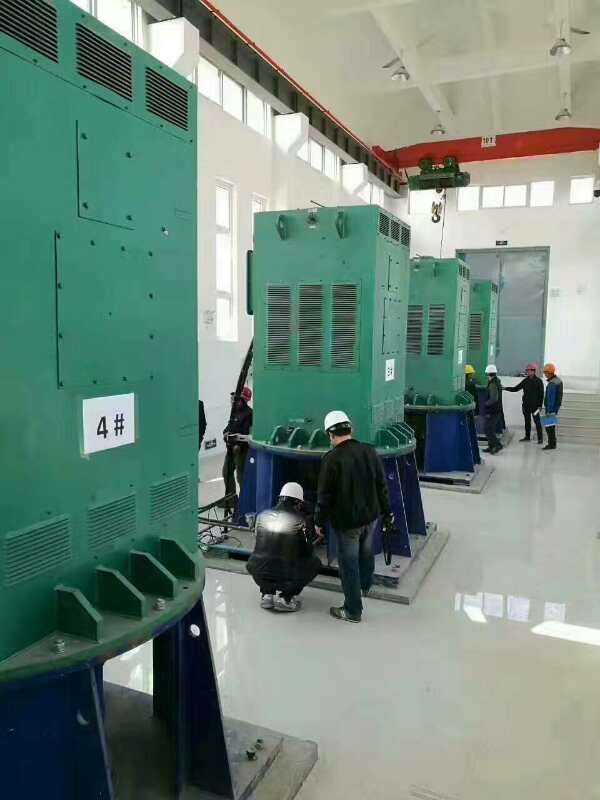 巴音郭楞某污水处理厂使用我厂的立式高压电机安装现场